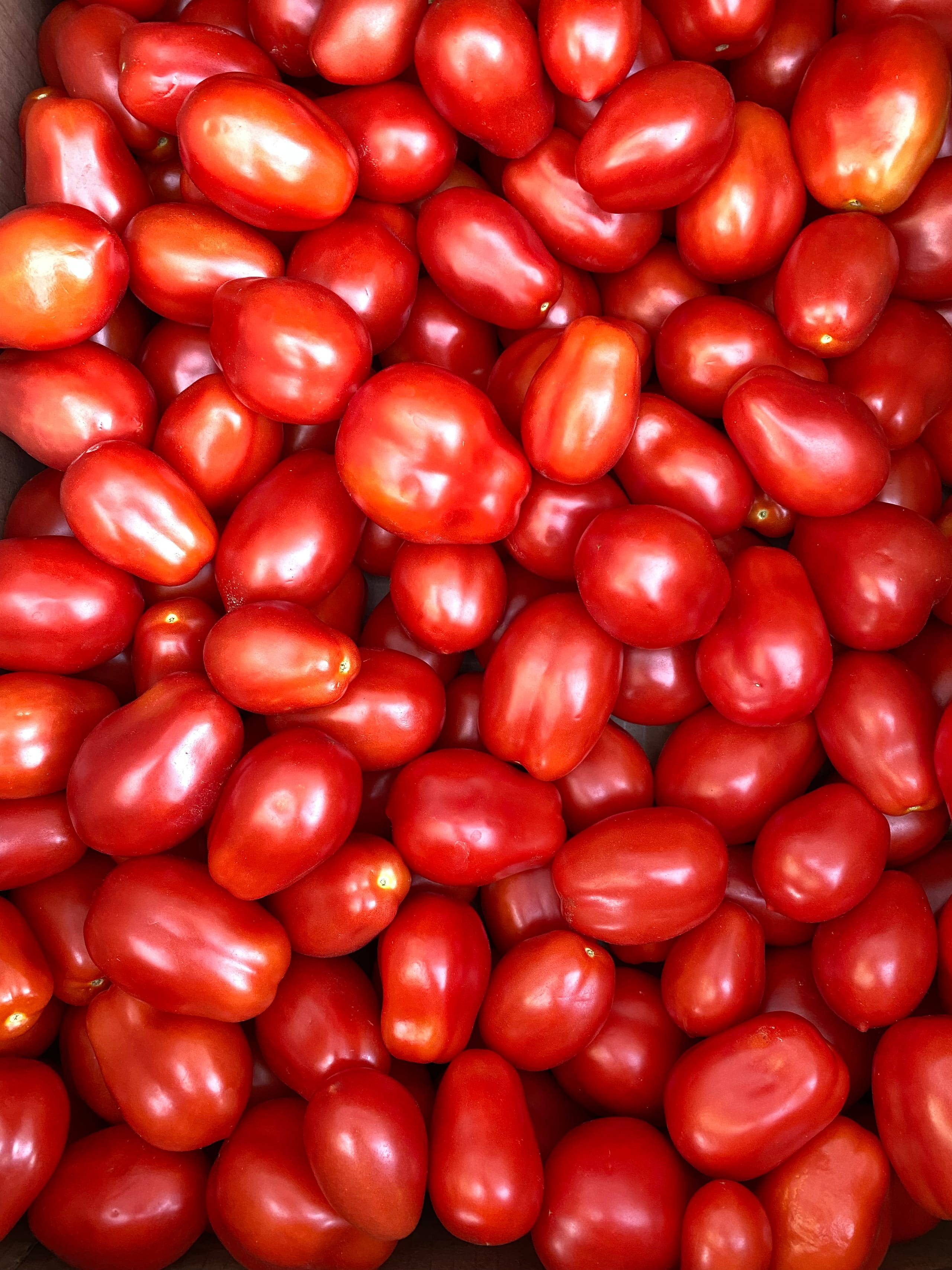 A close up of bright red Roma tomatoes ready for sale.