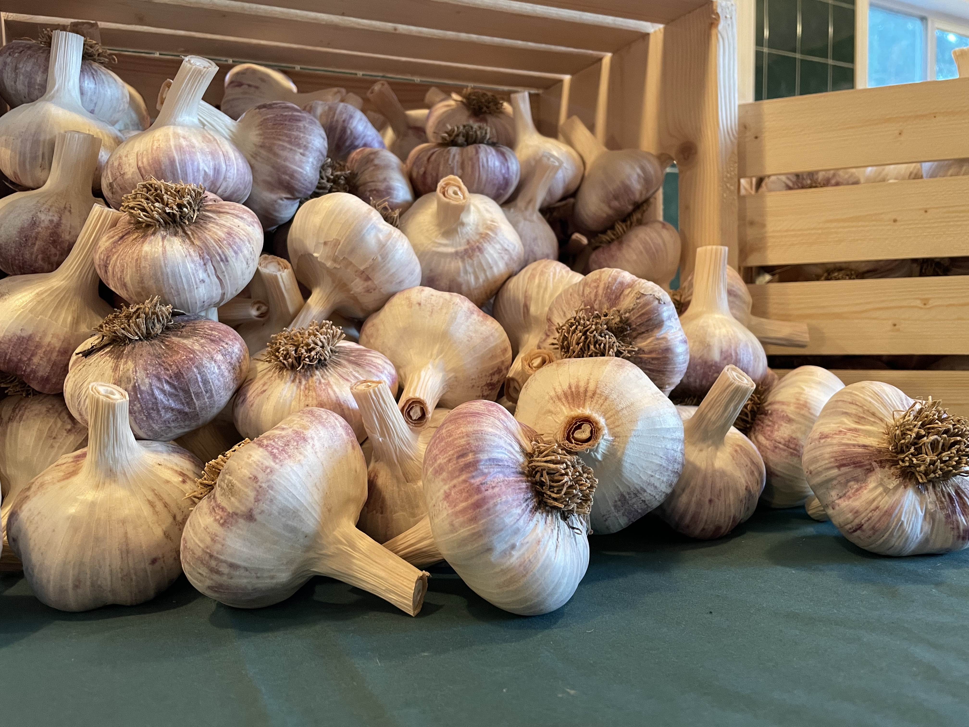 High Stakes Competition