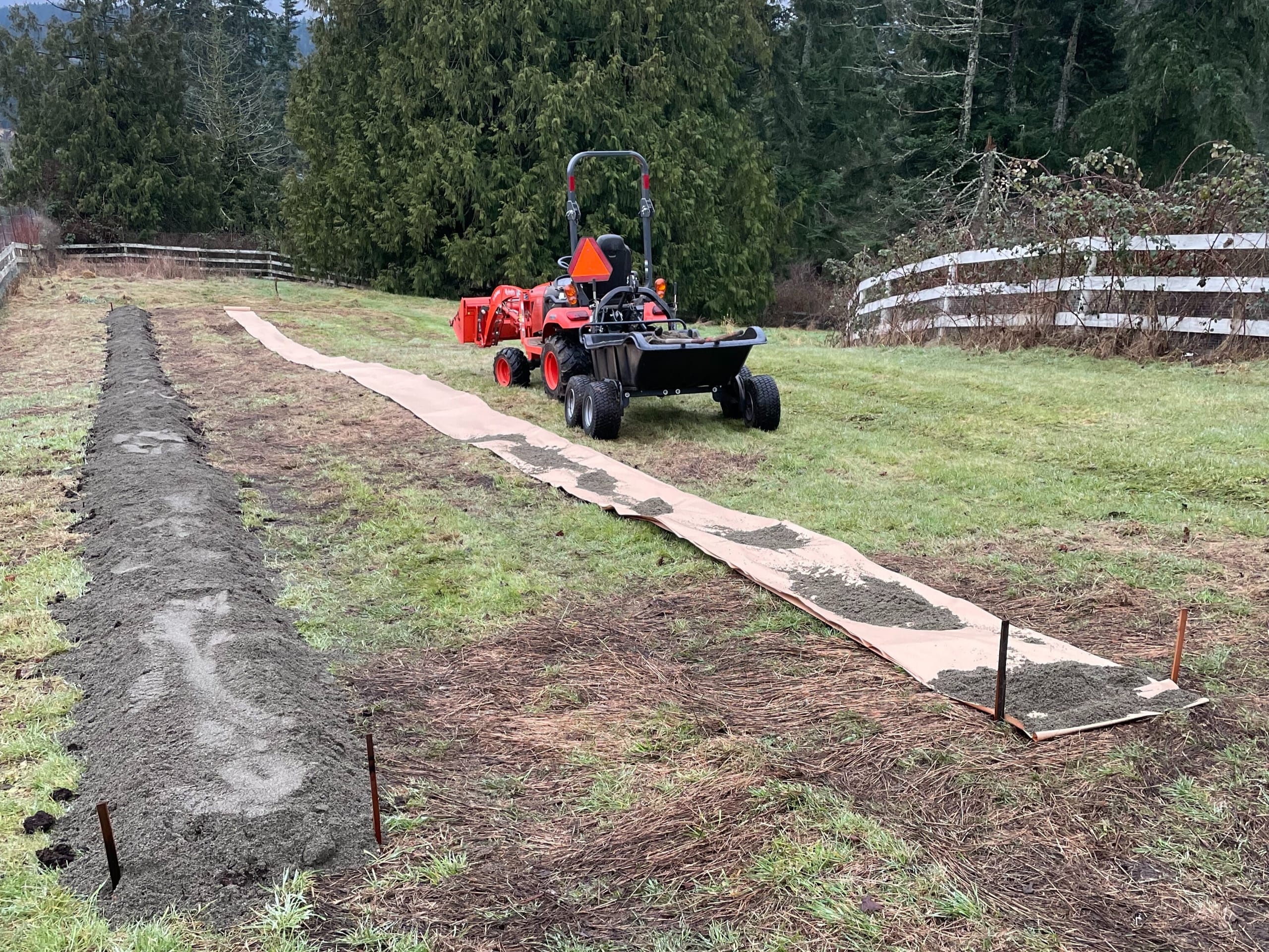 Raspberry rows prepared with sand and compost mix on a virgin kraft paper weed barrier.